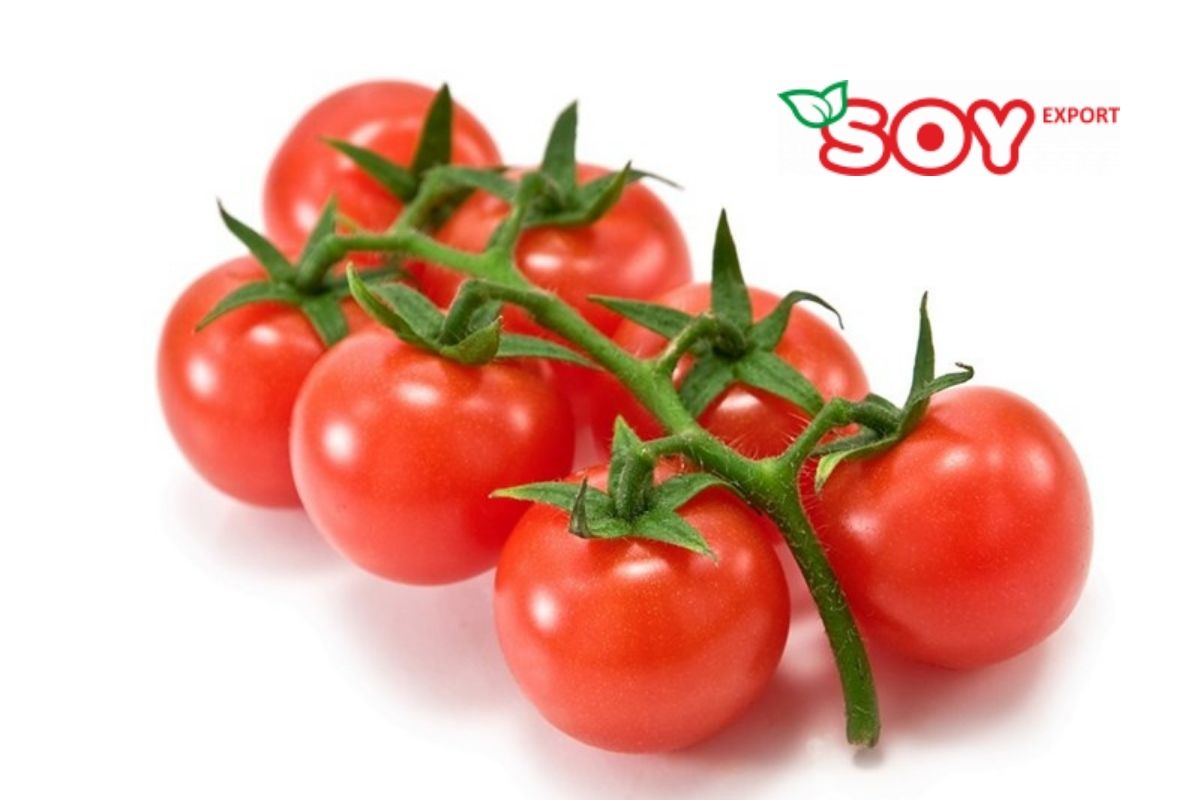 Tomato product. Делишер черри томат. Томаты коктейльные. Помидоры на ветке. Помидор на белом фоне.